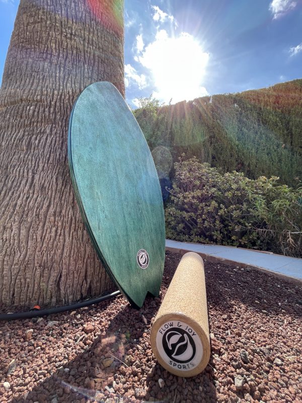 Balance Board Surf